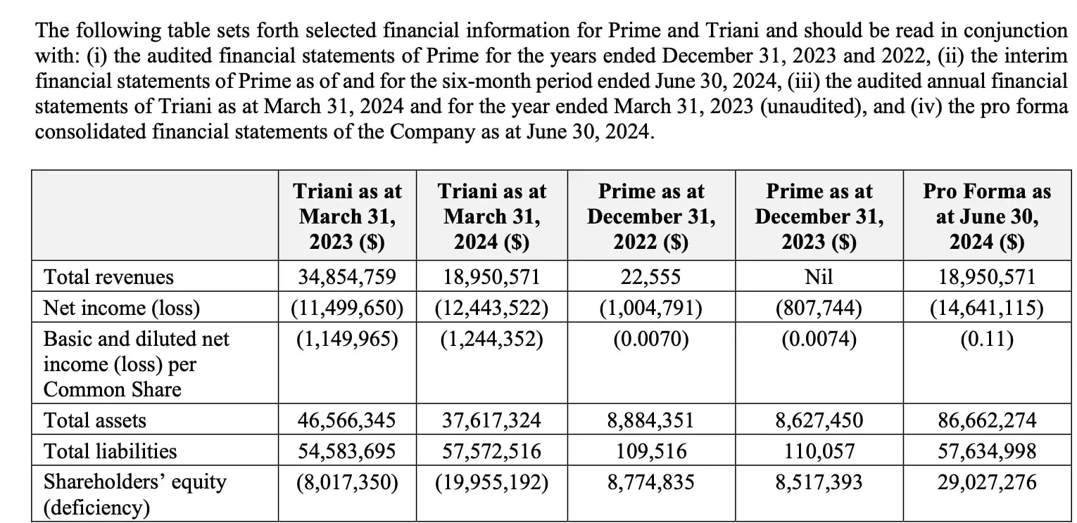 Bilanzübersicht Prime Drink Group Verbindlichkeiten