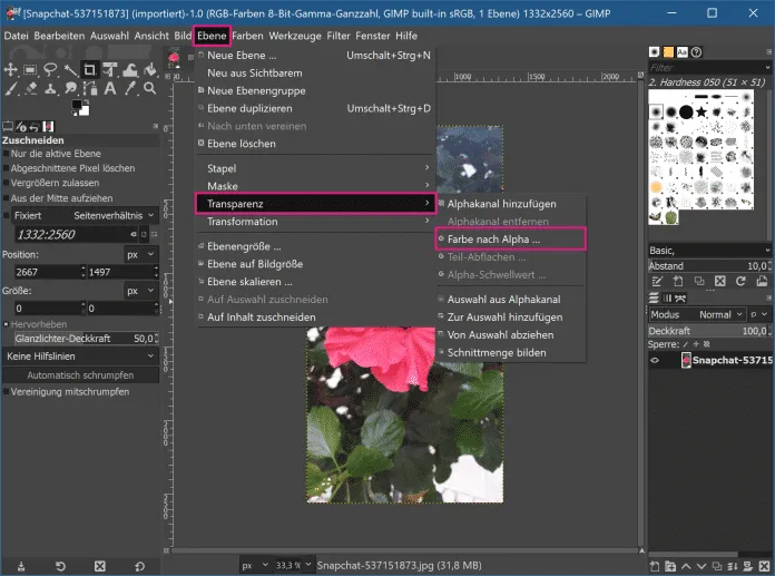 Bild, das GIMP-Menü zur Transparenzfunktion zeigt