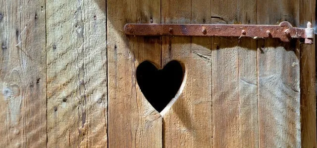 Bild einer Schüssel mit Karottensuppe