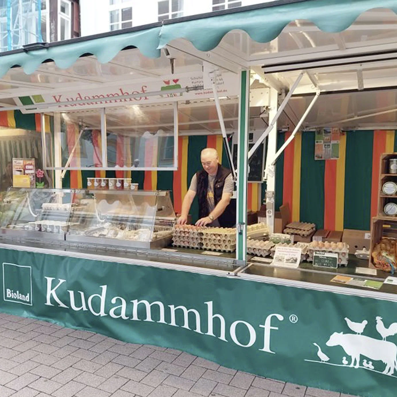 Bio-Eier in einer traditionellen Eierschachtel mit dem Logo des Kudammhof bei Celle.
