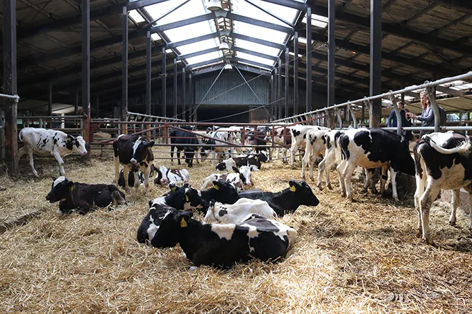 Biologische Nutztierhaltung im Ökodorf Brodowin - Foto: NABU/Iris Barthel