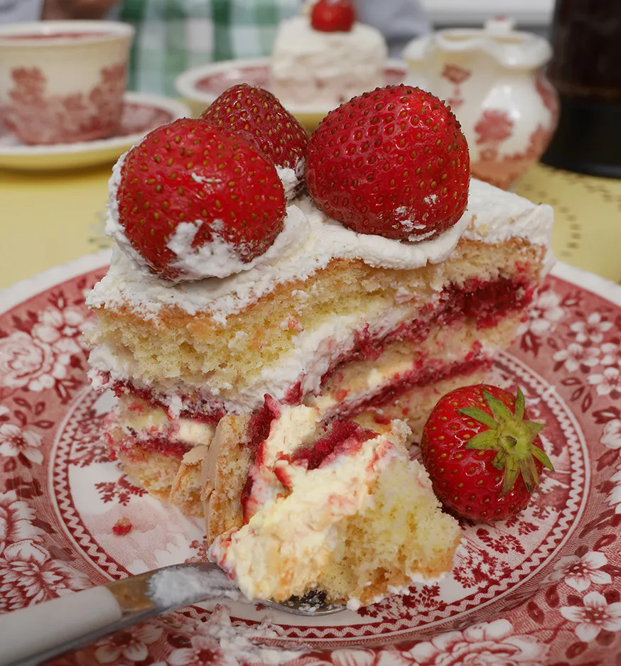 Biskuitboden für eine Erdbeer Sahne Torte