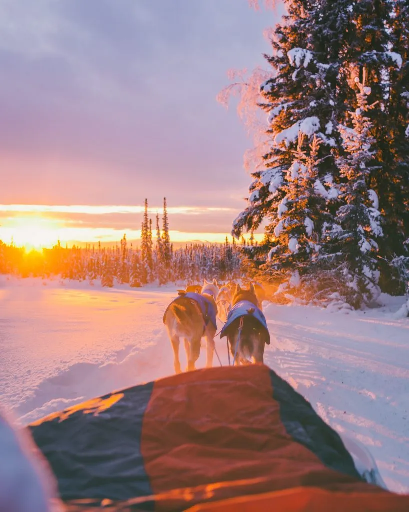 Blick auf den magischen Weihnachtsmarkt in Tallinn mit verschneiten Häusern