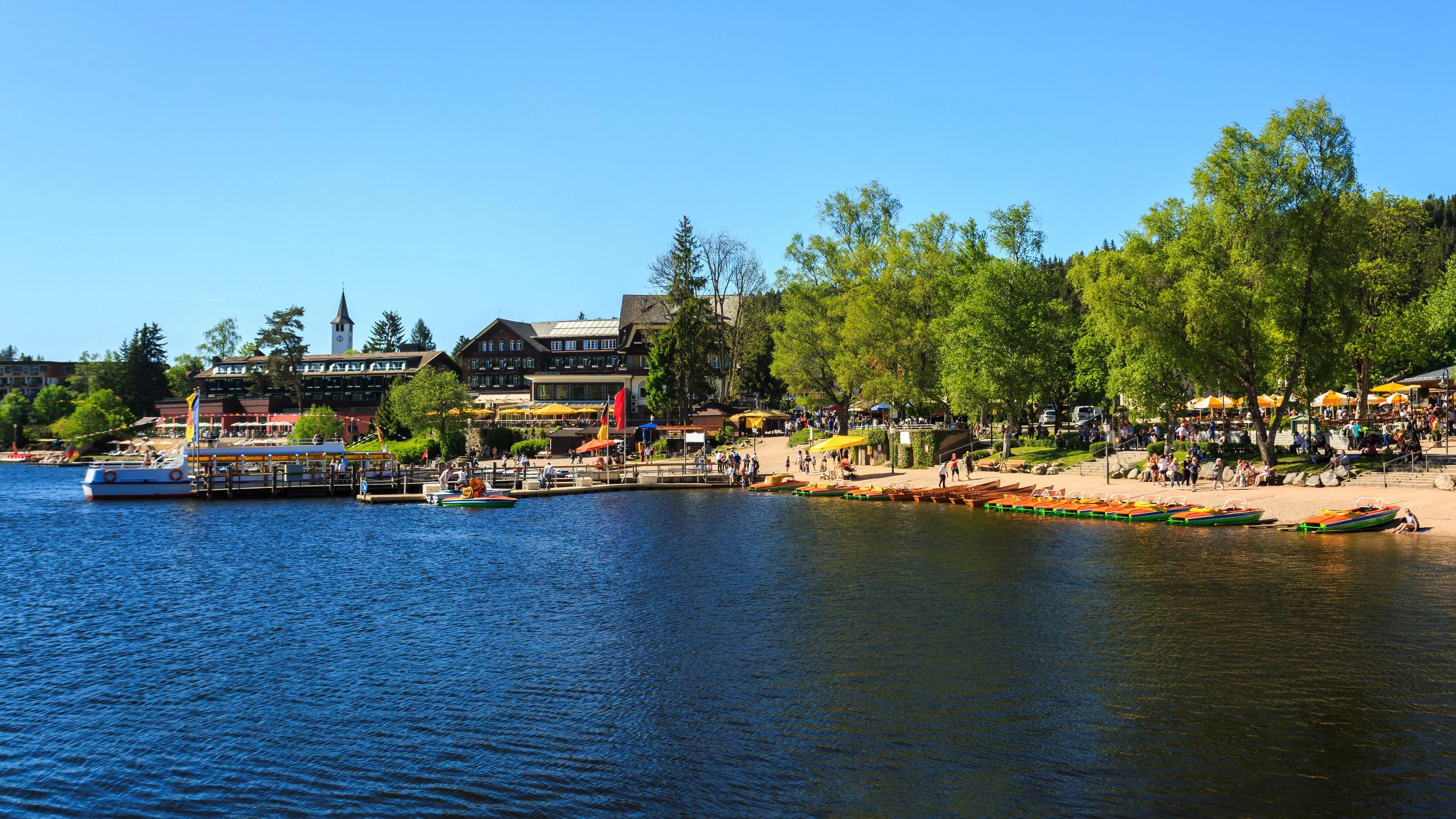 Blick auf den malerischen Titisee und die umliegende Landschaft bei Titisee-Neustadt, ein idyllisches Reiseziel