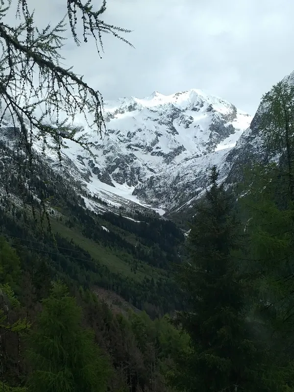 Blick auf die beeindruckende Bergwelt der Brentadolomiten