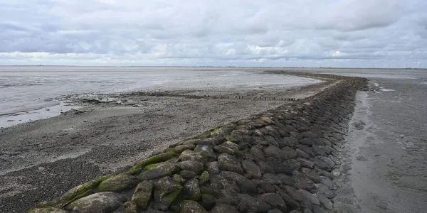 Blick auf die Weite des Wattenmeers in Schleswig-Holstein, einem UNESCO-Weltnaturerbe und ein Muss für jede Wohnmobiltour durch Norddeutschland