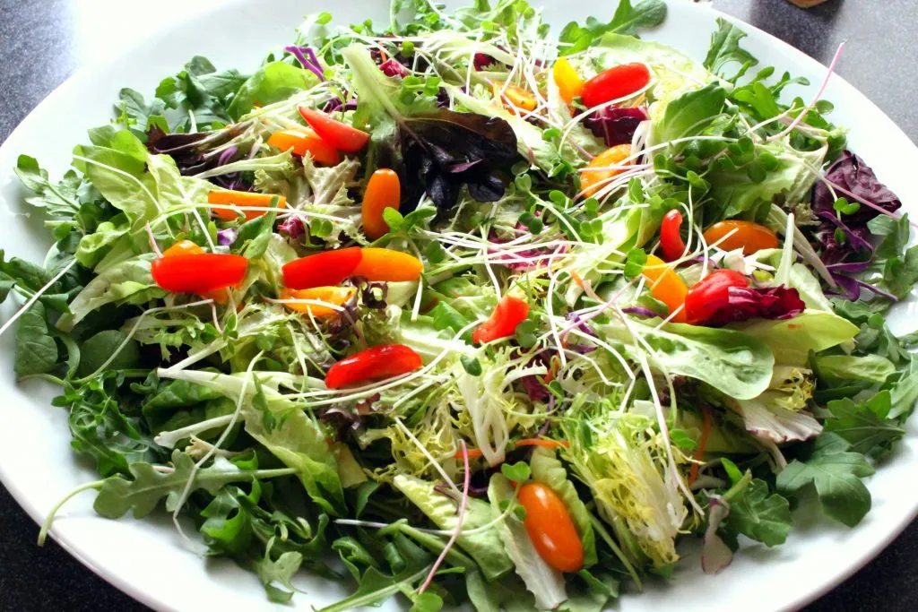 Blick auf frisch gewaschene Salate, darunter Rucola, Kopfsalat und Chicorée, bereit zur Zubereitung