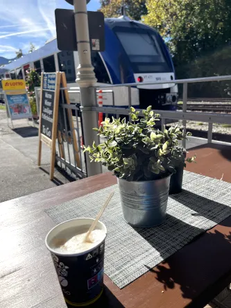 Blick über den Tegernsee