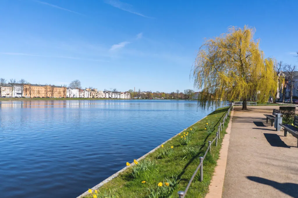 Blick vom Pfaffenteich auf die Altstadt von Schwerin – eine malerische Ansicht