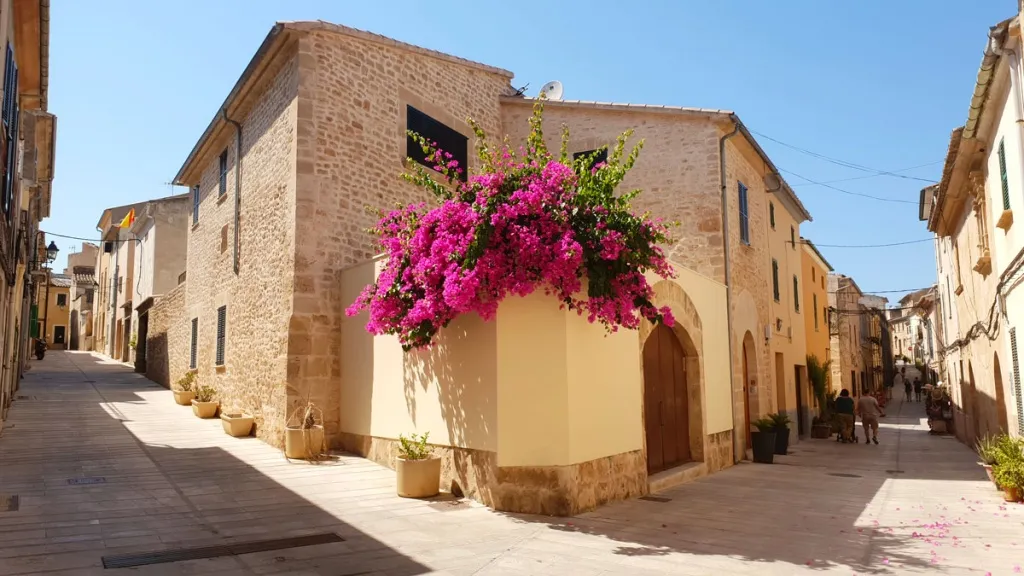 Blühende Blumenpracht schmückt die malerischen Gassen von Alcúdia