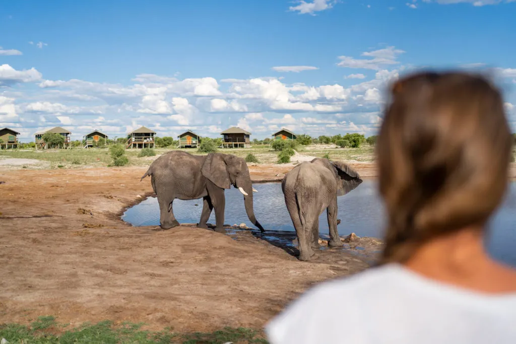 Botswana Elephant Sands Lodge