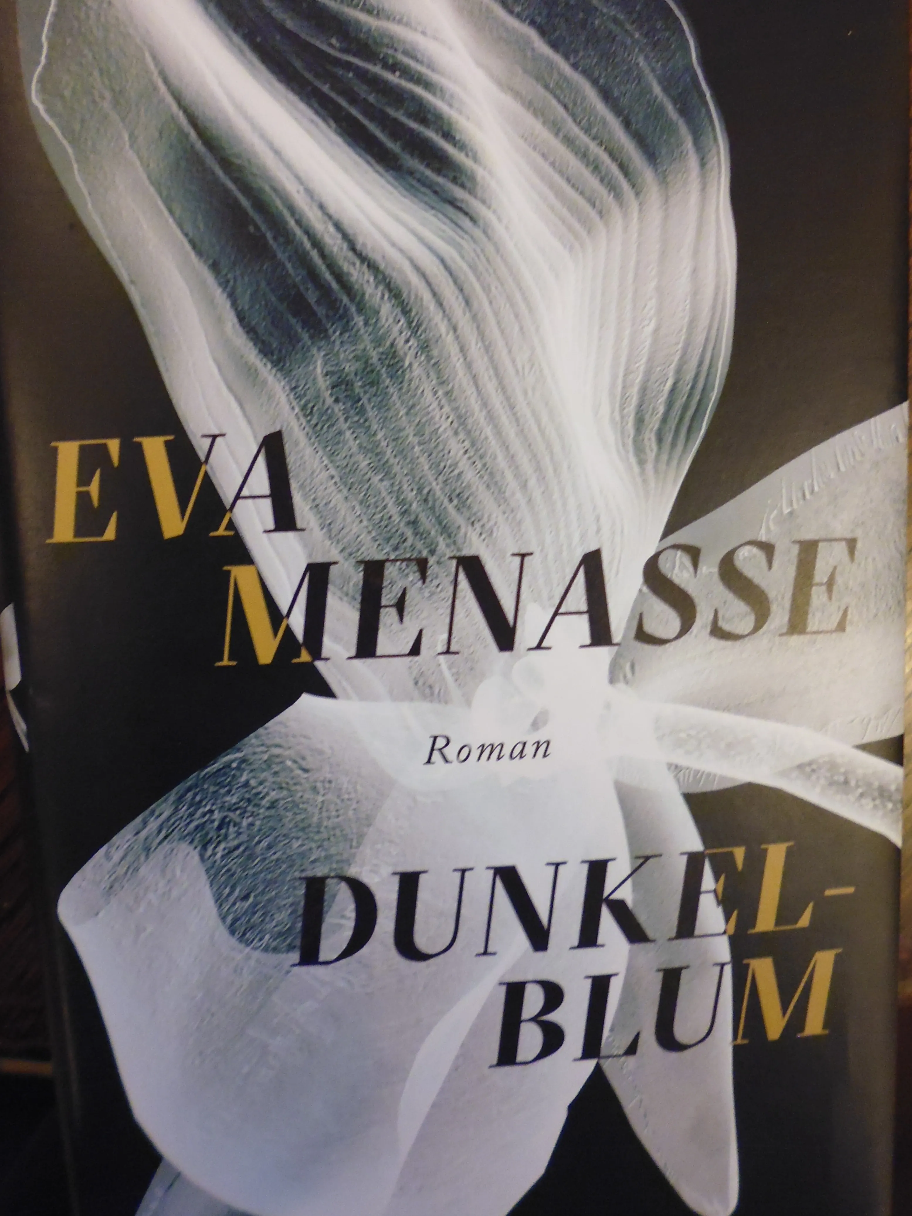 Buchcover des Romans "Dunkelblum" von Eva Menasse, das ein mysteriöses Dorf in der österreichischen Grenzregion symbolisiert