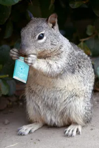 Bücher auf Englisch verschlingen