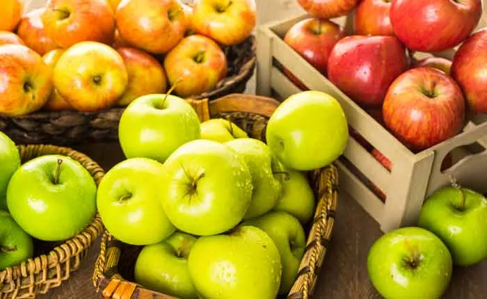 Bunte Vielfalt verschiedener Apfelsorten, die für Apfelschnaps verwendet werden können