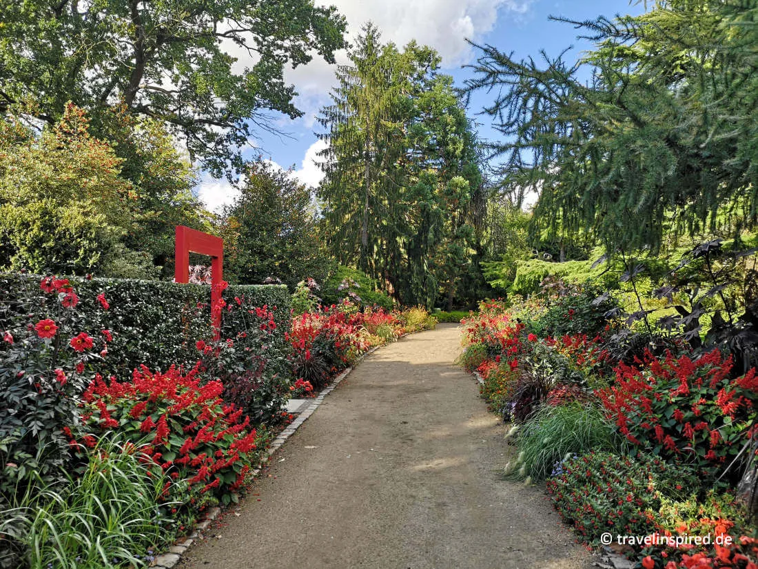 Bunter Indian Summer im Arboretum Ellerhoop