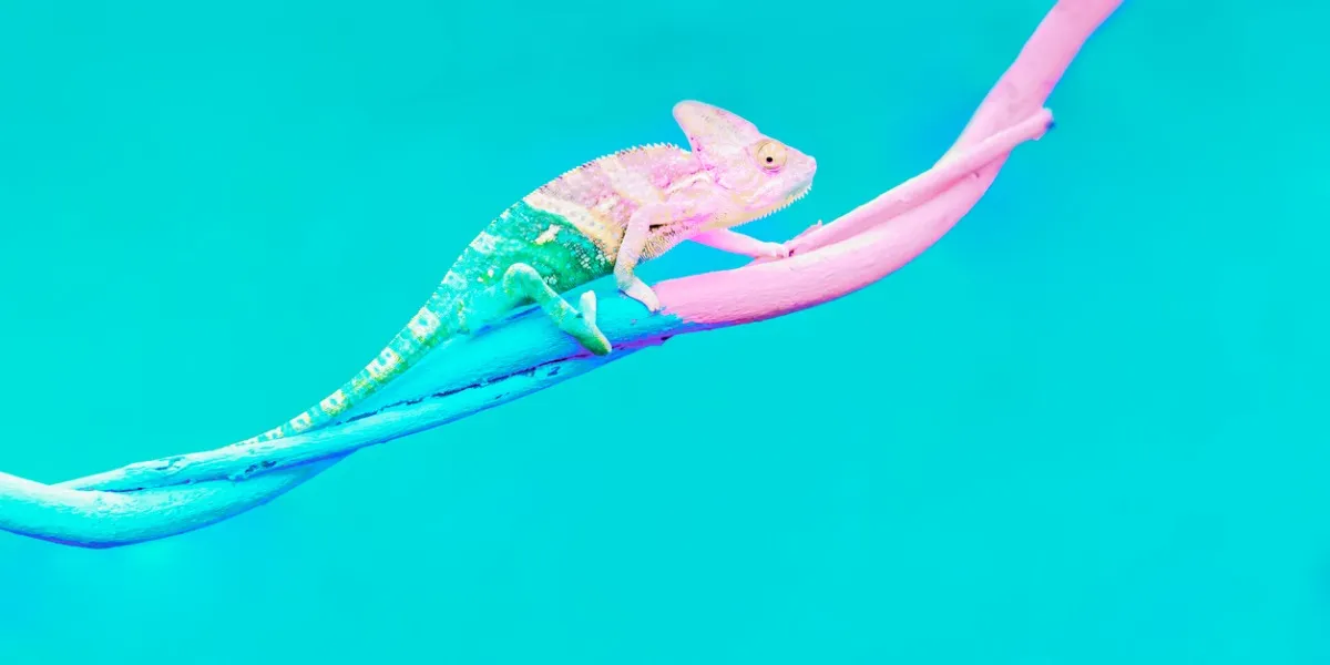 Buntes Chamäleon, das sich anpasst, veranschaulicht die Kernprinzipien von Change Management und die Notwendigkeit sinnvoller Weiterbildung