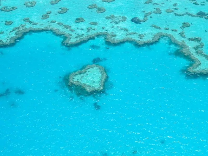 Buntes Korallenriff im Great Barrier Reef, Australien, ideal zum Schnorcheln