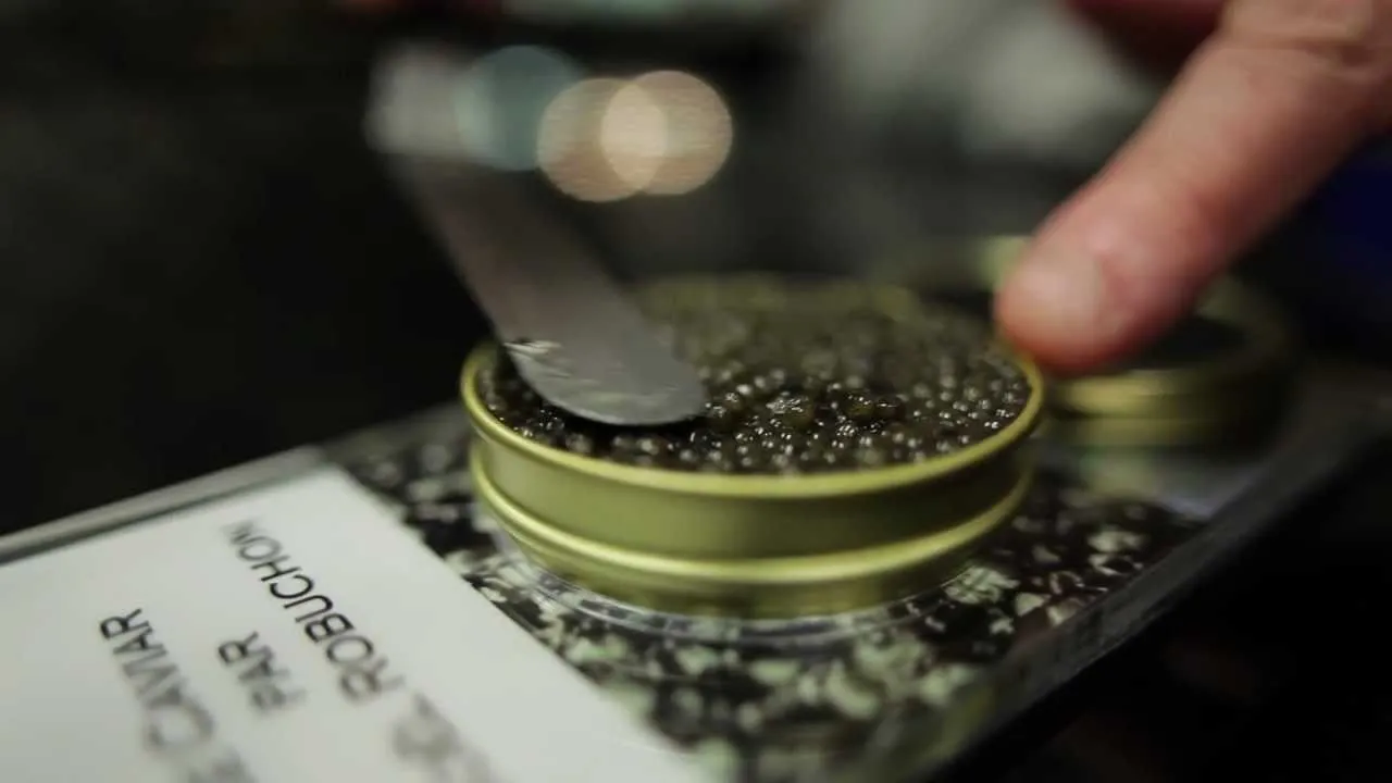 caviar_robuchon