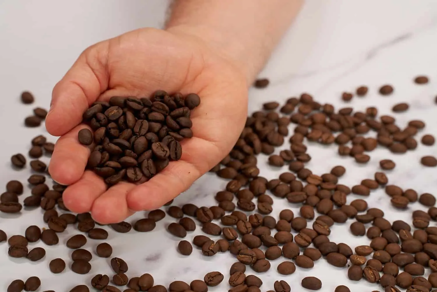 Coffeeness Bohnen Hand 