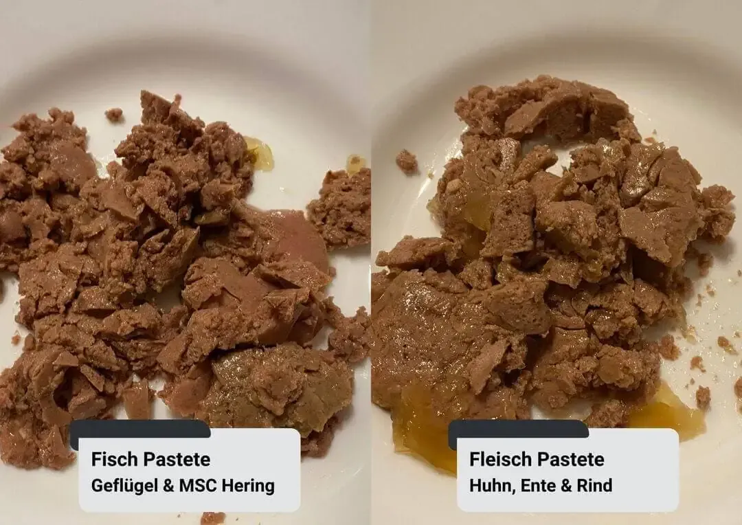 Coshida Katzenfutter von Lidl: Konsistenz und Aussehen der Pasteten-Sorten