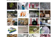 Cover einer Publikation mit BMBF-FONA Förderkennzeichnung