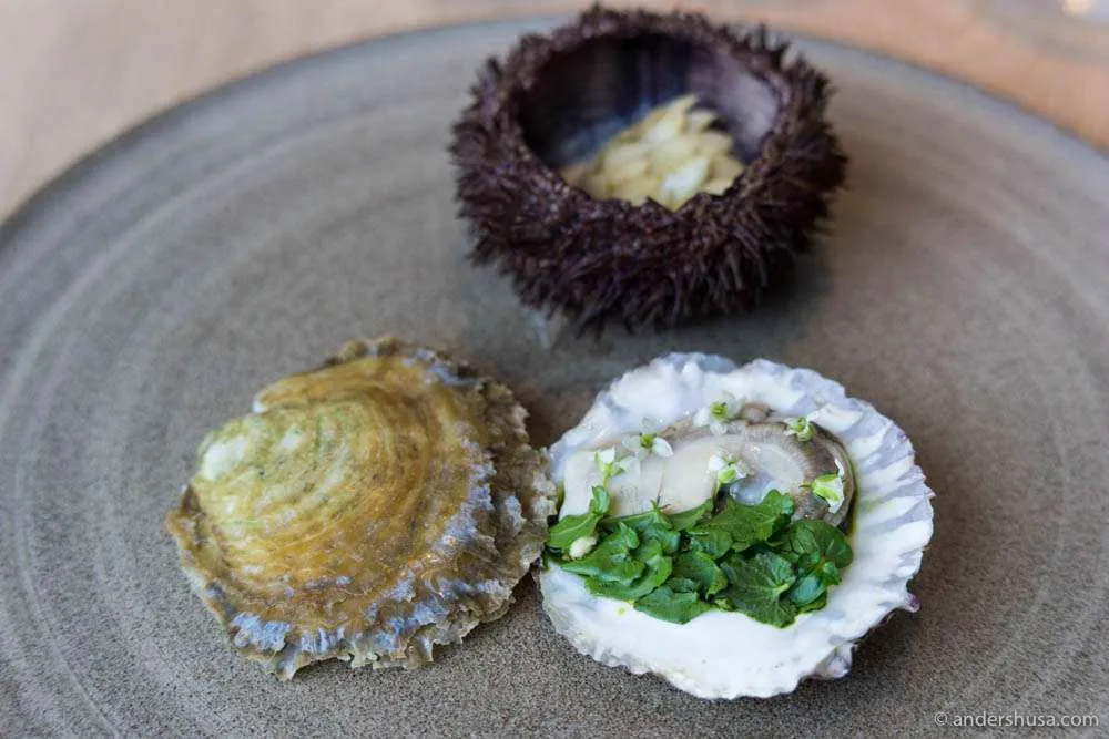 Dänische Auster aus dem Limfjord, pochiert und serviert mit Wasabi-Blättern und Blüten aus Island.
