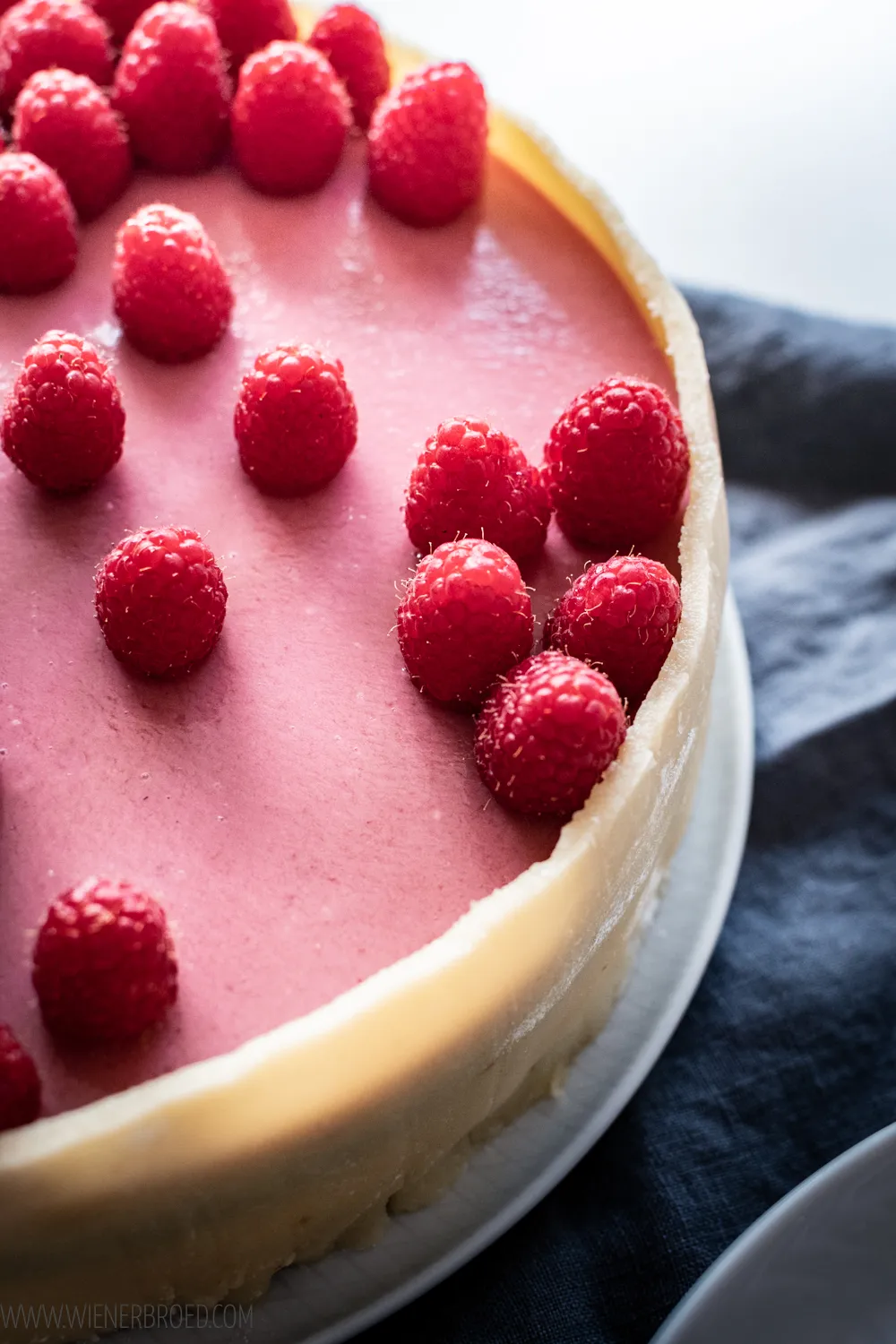 Dänischer Schichtkuchen (Lagkage) im Anschnitt, der seine köstlichen Schichten aus Schokoladenbiskuit, Vanille- und Himbeercreme zeigt