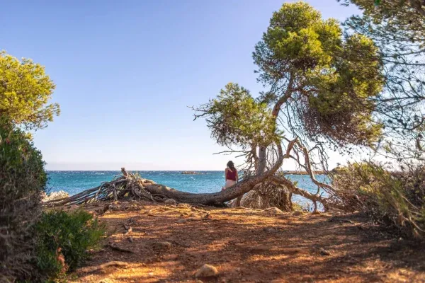 Das Kloster auf der Île Saint-Honorat