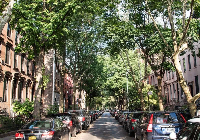 Das Viertel Carroll Gardens in Brooklyn