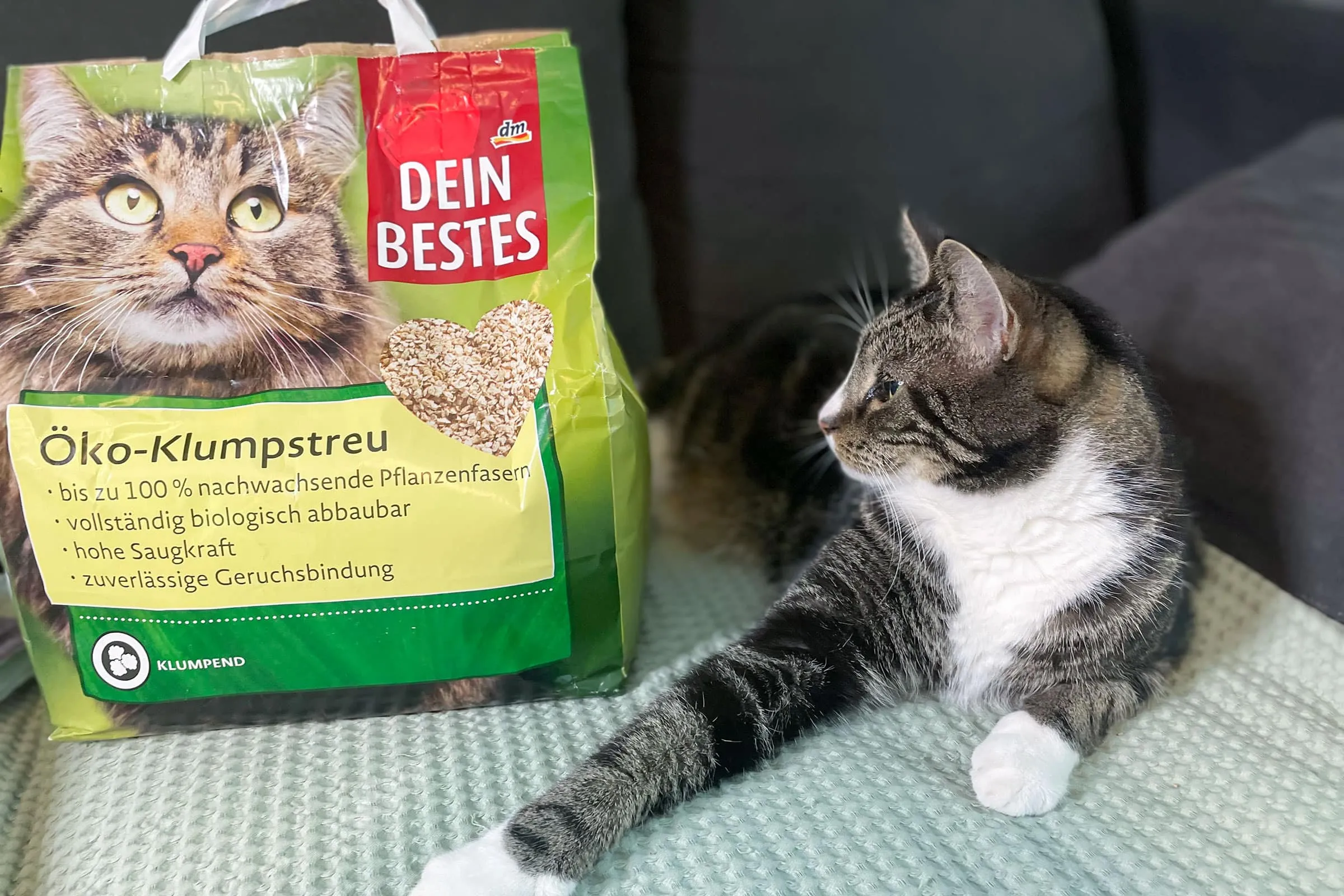Dein Bestes Öko-Klumpstreu mit einer Katze