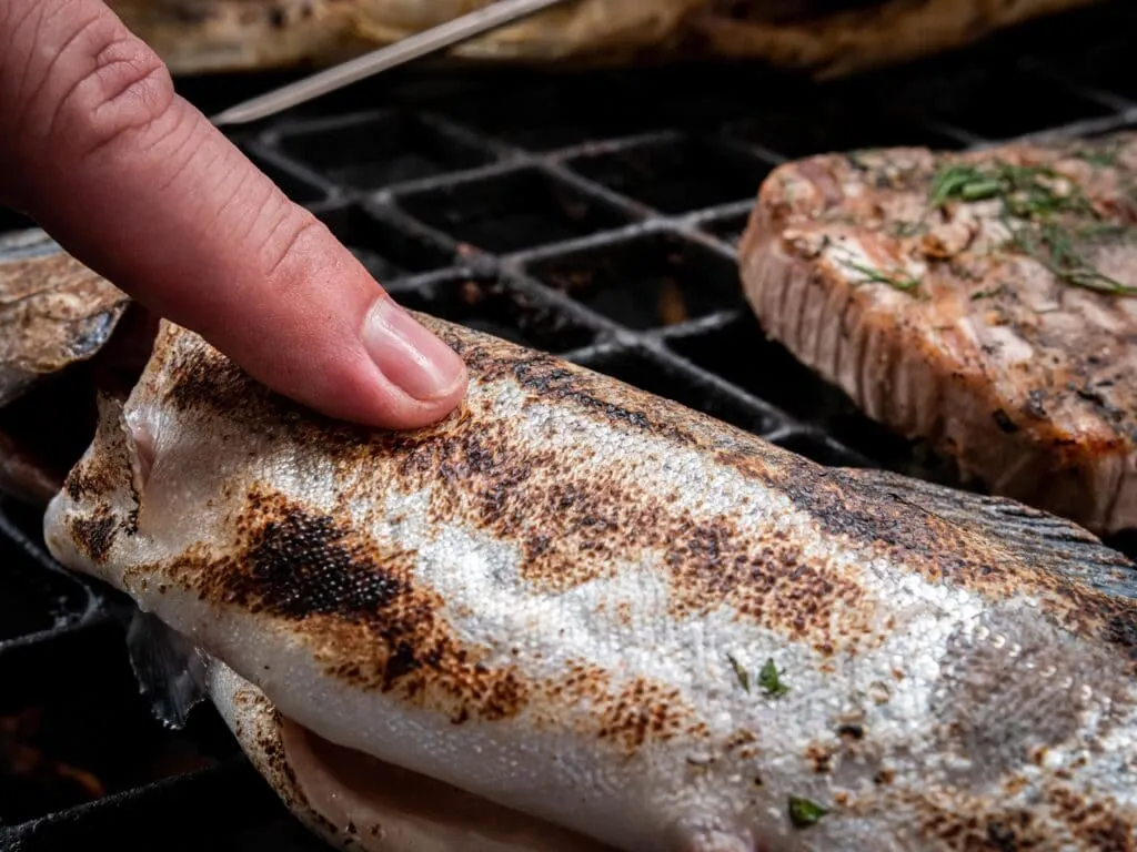 Den Garpunkt von gegrilltem Fisch mit dem Fingerspitzen-Test bestimmen – ein einfacher Trick für gelingsichere Fisch Grillrezepte