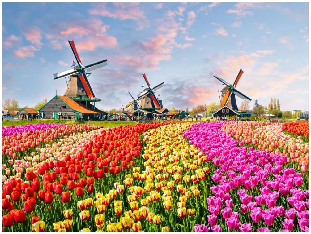 Der berühmte Blumenpark Keukenhof in Lisse, Niederlande, zeigt eine riesige Vielfalt an blühenden Tulpen in leuchtenden Farben.