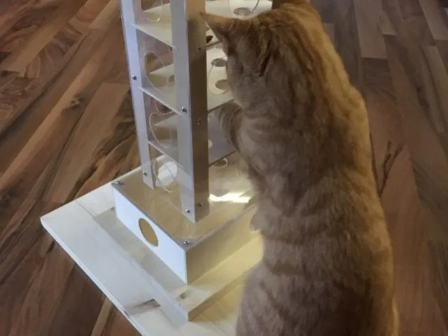Der Intelligenzturm mit 4 Etagen gibt der Katze die Möglichkeit die Leckerlies entweder direkt aus den Löchern zu angeln oder nach unten zu fummeln und dann rauszunehmen