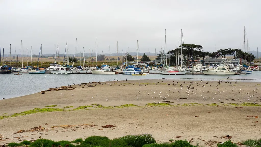 Der June Gloom: kein schöner Anblick.