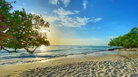 Der lebhafte Eagle Beach Strip auf Aruba, mit Palmen, Resorts und dem klaren karibischen Meer.