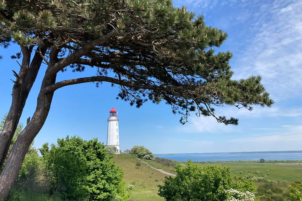 Der Leuchtturm Dornbusch im Norden von Hiddensee ist das Wahrzeichen der Insel