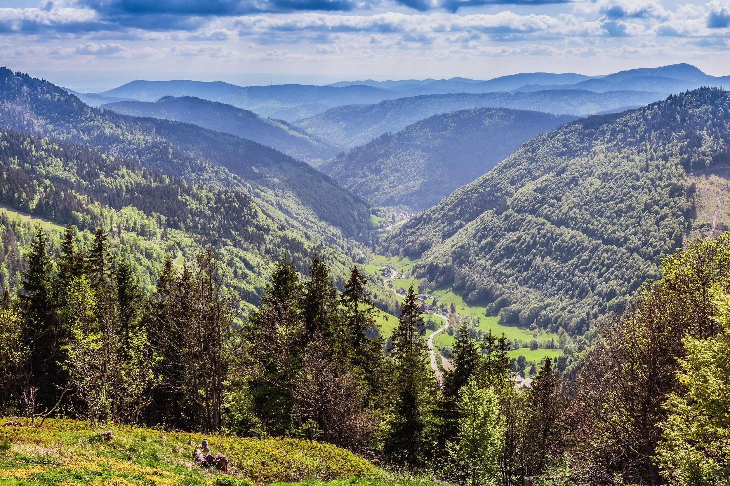 Der majestätische Feldberg, höchster Gipfel des Schwarzwalds, mit weitem Blick