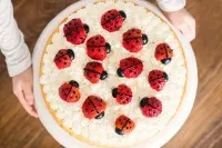 Der Marienkäfer-Kuchen von oben fotografiert, mit Detail der Früchte und Schokoschrift