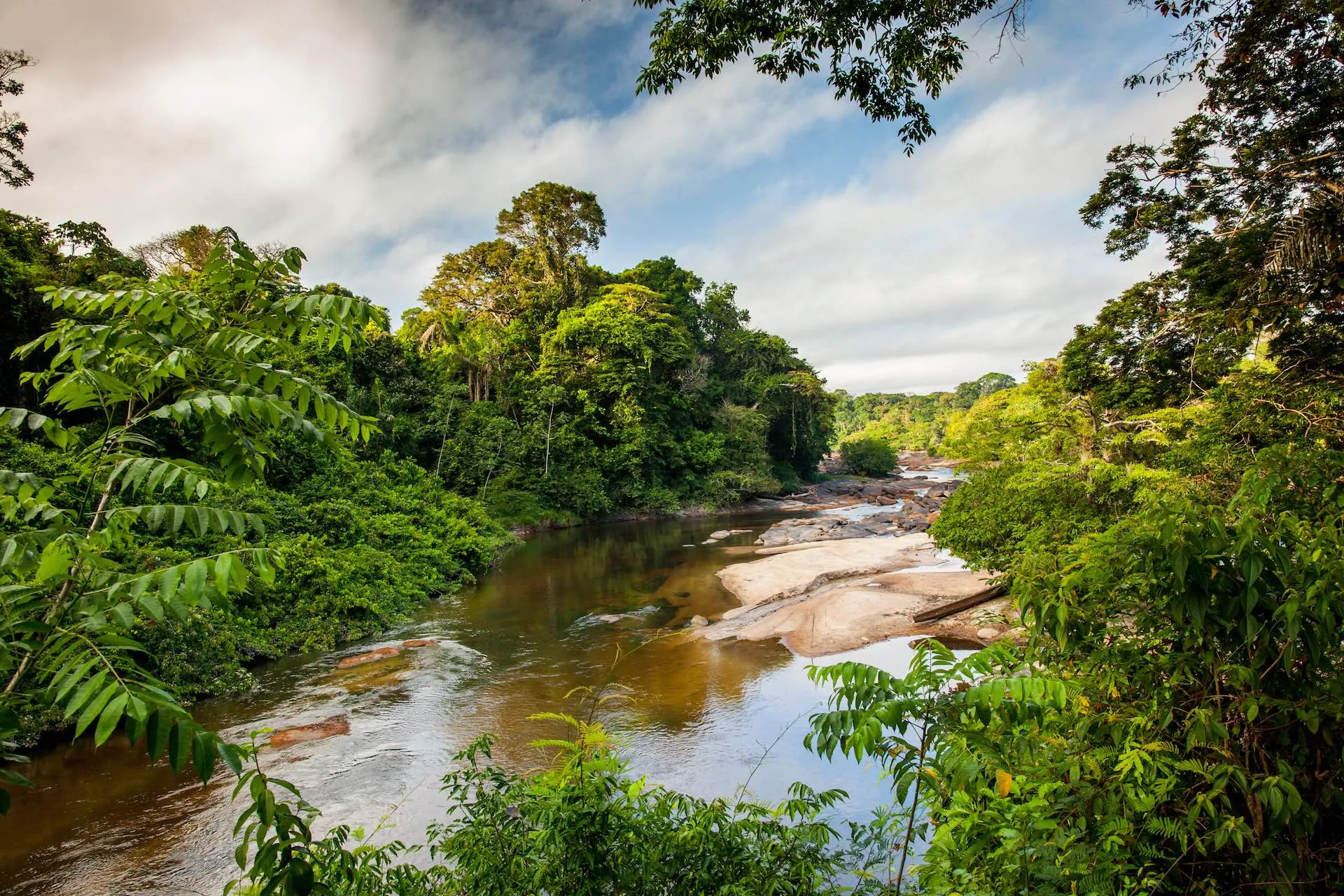 Der Suriname River in Südamerika, umgeben von dichtem, unberührtem tropischem Regenwald