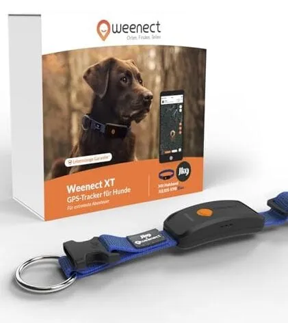 Der Weenect XT Hundetracker am Halsband eines Hundes