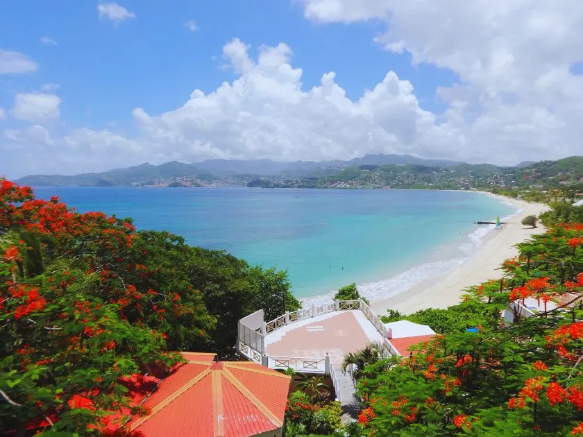 Der weitläufige Grand Anse Beach auf Grenada mit weißem Sand, Palmen und klarem Wasser