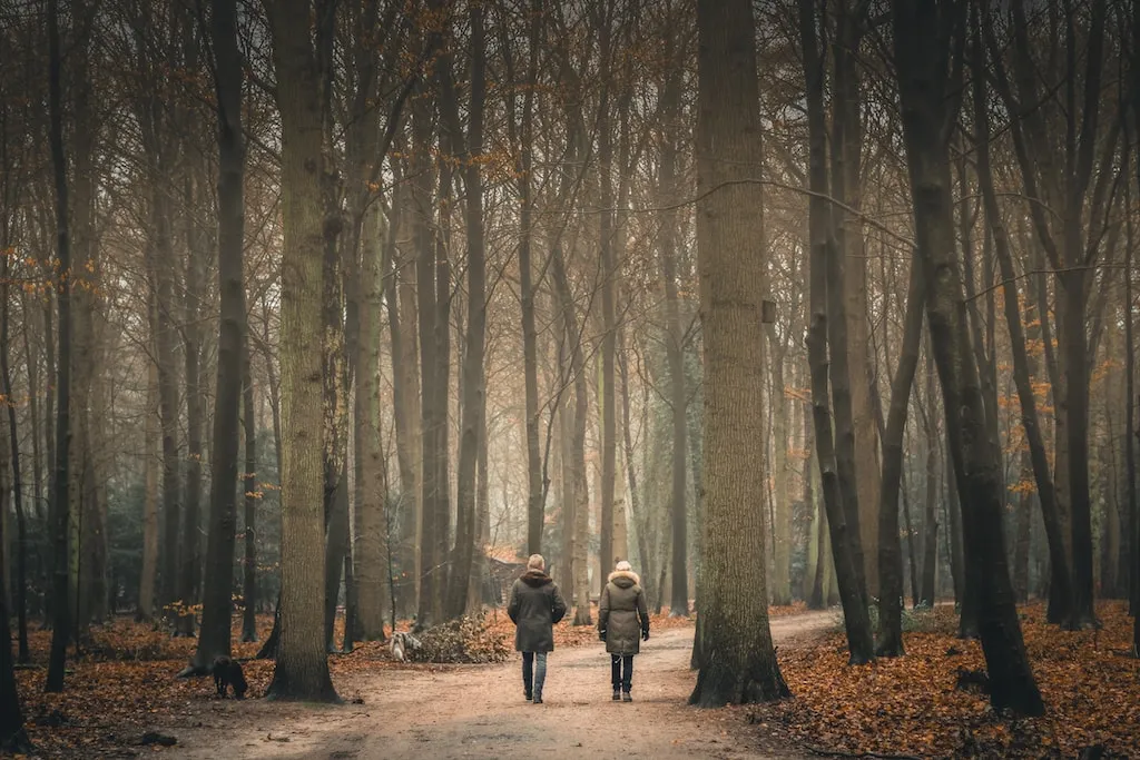 Der winterliche Stadtpark in Hamburg