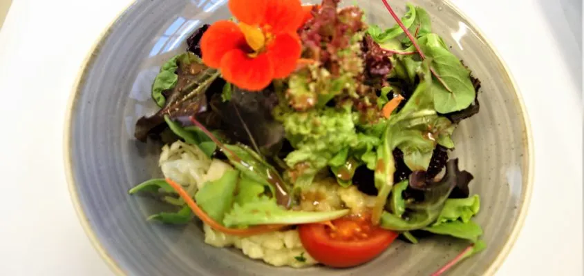 Detailansicht der Restaurierung des Voitlhofes