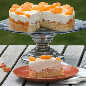Detailansicht einer frisch zubereiteten schnellen Mandarinen-Sahne-Torte