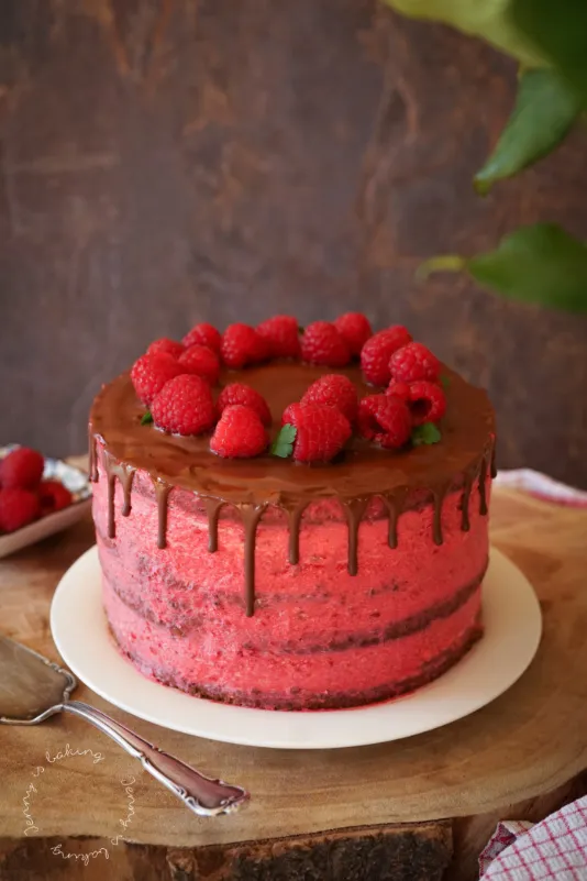 Detailaufnahme von Schokodrip auf Himbeer-Schoko-Torte