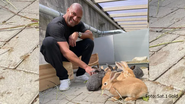 Detlef Soost mit Kaninchen bei der Tiervermittlungssendung Haustier sucht Herz heute auf Sat.1 Gold