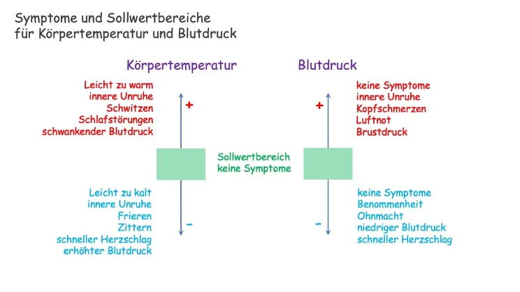 Diagramm von Körpertemperatur und Blutdruck Symptomen, die durch Magnesium beeinflusst werden können.