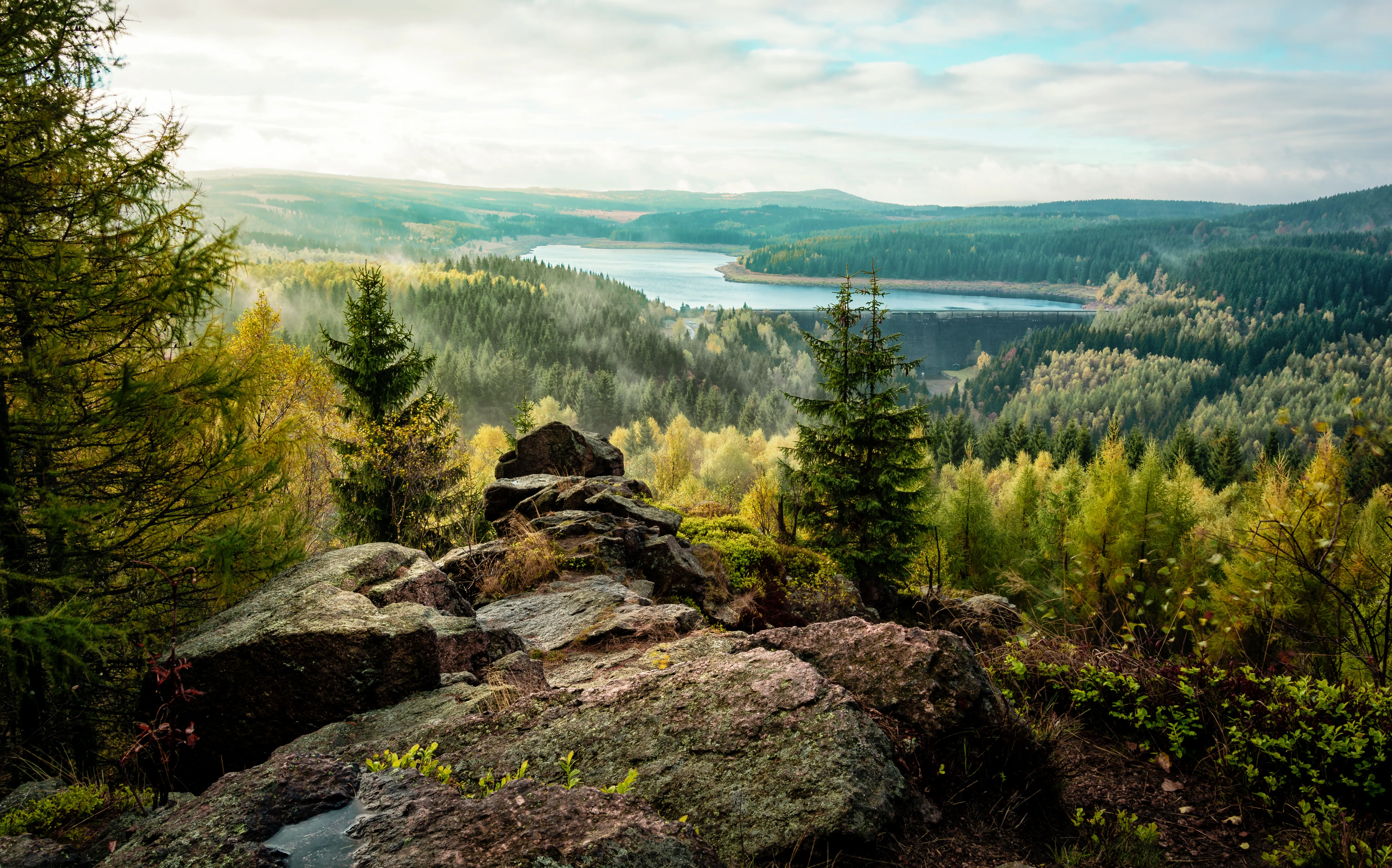 Dichte Fichtenwälder und sanfte Hügel im Erzgebirge, einer beliebten Wanderregion in Ostdeutschland