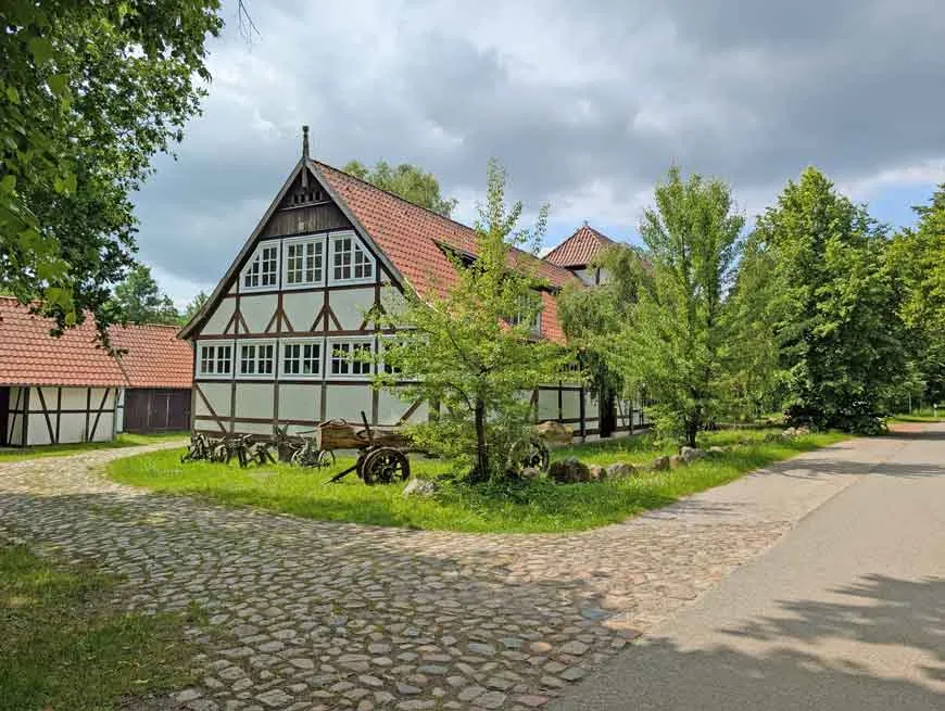 Dichte Waldlandschaft in der Göhrde, Norddeutschland