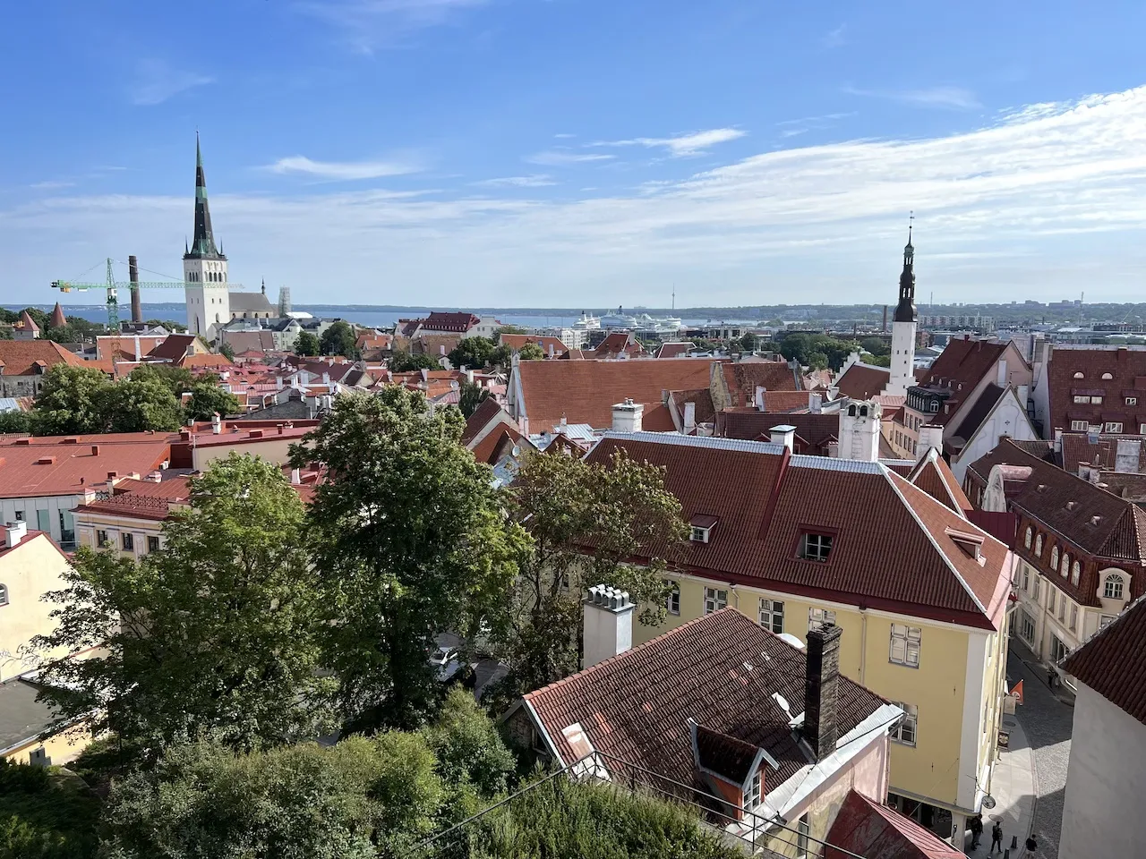 Die Altstadt von Tallinn mit ihren roten Dächern ist ein UNESCO-Weltkulturerbe.